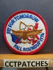 1974 BSA FIT FOR TOMORROW FALL ROUNDUP PFADFINDER PATCH - Bild 1 von 2