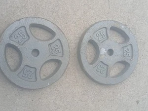 Paar 25 Pfund Standardplatten - Bild 1 von 2