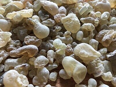 Royal Frankincense Organic Hojari Frankincense Oman (Bos. Sacra) (1/2 Lb) • 39.95€