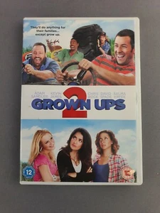 Grown Ups 2 - Adam Sandler - 12 - DVD - Tested & Working - Free P&P - VGC - Picture 1 of 4