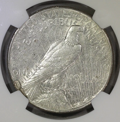 1924 $1 Silver Peace Dollar Reverse Lamination Error NGC AU Cover
