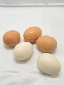 Juego de 5 huevos marrones y blancos realistas de exhibición de piedra de réplica de alimentos artificiales - Imagen 1 de 3