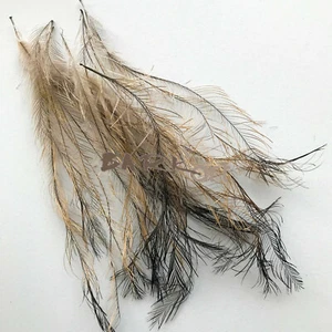 25 PREMIUM Australian ( Kangaroo Feathers ) EMU Course TAIL Feathers, - Picture 1 of 6