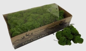 Medium Green Reindeer Moss Natural Preserved 450g Box UK Seller - Fast Dispatch - Picture 1 of 1
