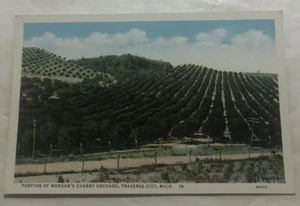 Porzione di Ciliegio di Morgan, Traverse City, Mich. Cartolina (A3) - Foto 1 di 2