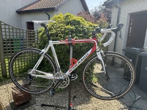 Colnago Primavera Road Bike 52cm - Picture 1 of 7