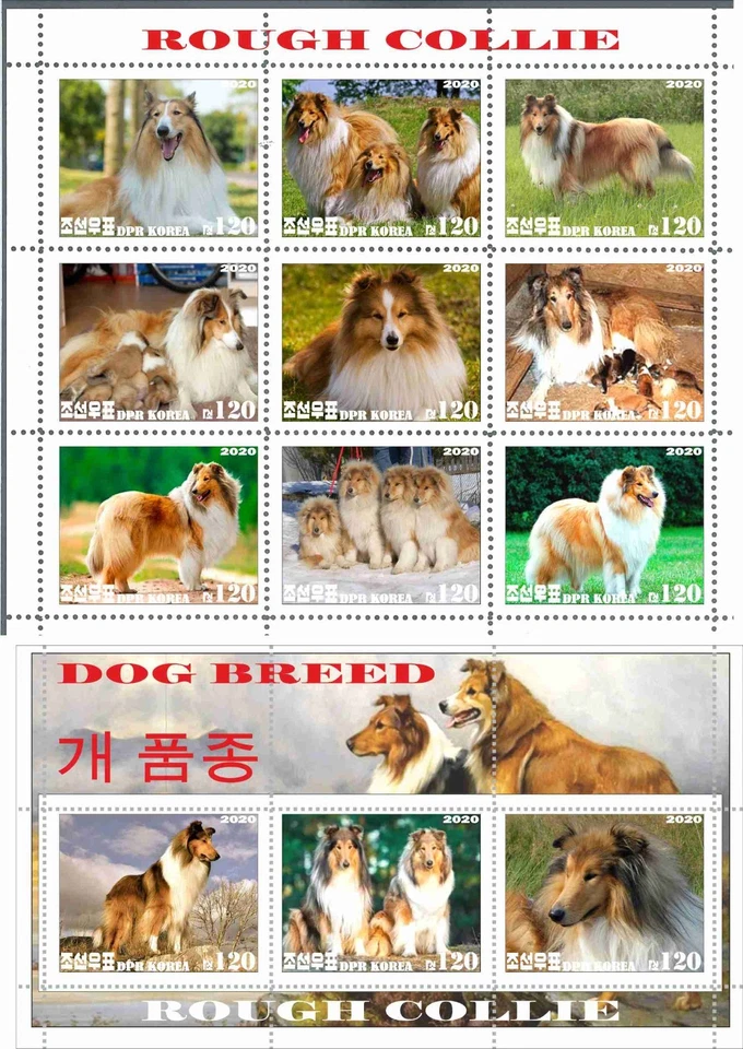 Stamp sheet+block Dogs Rough Collie Korea 2020 issue - Image 1 of 1