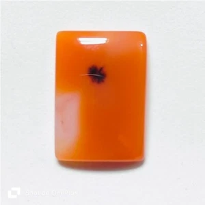 Carnelian Orange Cabochon Natural Loose Gemstone For Jewelry 33 Cts ME-10355 - Picture 1 of 5