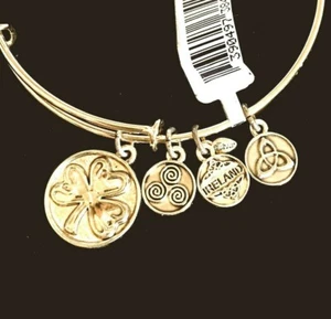Bracciale Charm Celtico Irlandese Trifoglio Spirale Celtica Nodo Trinità Irlanda - Foto 1 di 4