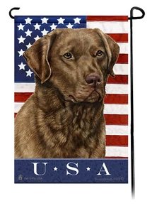 Bandera de jardín patriótica de Estados Unidos - marrón Chesapeake Bay Retriever 037 - Imagen 1 de 1