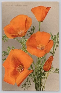 California Poppy Flower Postcard E.P. Charlton Series 1985 - Picture 1 of 3