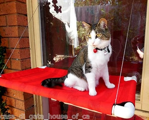 PAWS OUTDOORS, PETITE ANIMAL WINDOW SEAT FOR CATS, RED, CAT BED - Picture 1 of 2
