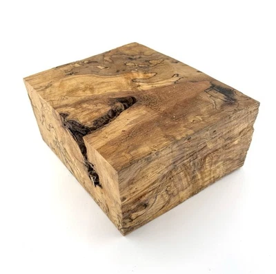 Bloco de madeira de bordo rachado 9,5” x 7,75” x 4,25” climatizado e selado - Imagem 1 de 4