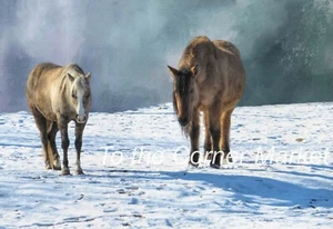 DOS DAMAS EN LA NIEVE - IMPRESIÓN FOTOGRÁFICA EN MARCO DE 4” X 6” - Imagen 1 de 2