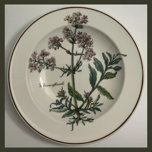 Villeroy Boch BOTANICA Valeriana Officinalis 8⅝” Soup/Salad Bowl- Germany—QTY 1 - Picture 1 of 7