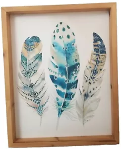 Sany Dayo Feathers Framed Art Print Bohemian Farmhouse Decor Wall Art 16X13 - Picture 1 of 6