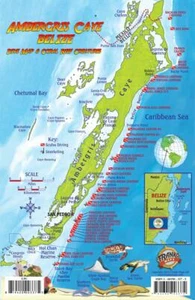 Ambergris Caye Belize Dive Map & Reef Creatures Waterproof Fish Card Franko Maps - Imagen 1 de 2