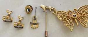 Lions Club Pins/brooch Lot - Picture 1 of 1