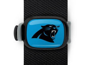 Carolina Panthers Bag Wrap ID Luggage Backpack Bag NFL Black Blue Grey STWRAP - Picture 1 of 3
