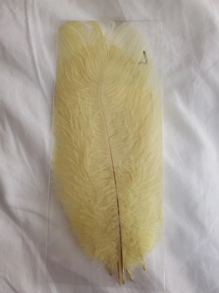Lote de 5 plumas de pluma de avestruz teñidas de 6-8" Foto 1 de 1