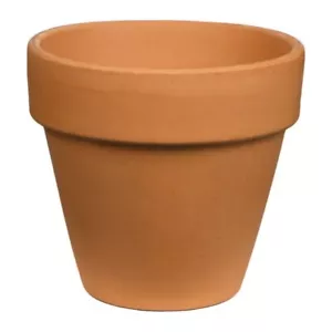Pennington Red Terra Cotta Clay Planter, 2 inch Pot - Picture 1 of 7