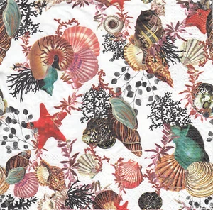 4 Lunch Papier Servietten Napkins (Z8-6) Muscheln Korallen Mary Katrantzou - Bild 1 von 1