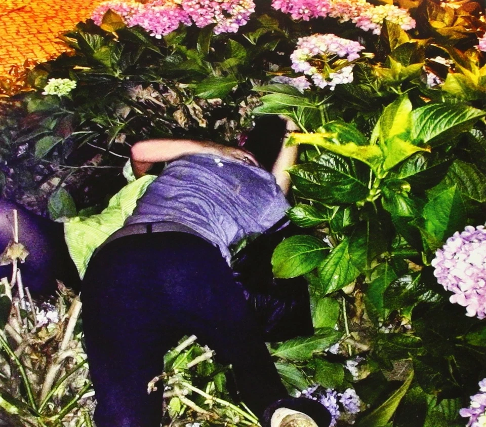 Paus Clarao CD PS010CD Neu - Bild 1 von 1