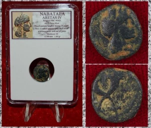Ancient Coin NABATAEA ARETAS IV Aretas and Cornucopias Bronze AE13 Petra Mint - Picture 1 of 4