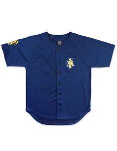 NORTH CAROLINA A&T UNIVERSITY BASEBALLL JERSEY HBCU College Baseball Jersey - Picture 1 of 2