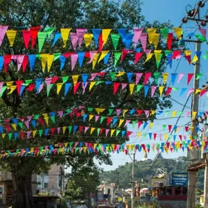 100M Triangle Flags Bunting Banner Pennant Festival Wedding Party Outdoor Street - Picture 1 of 10