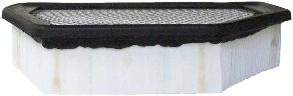 Filtro de aire del motor Foto 1 de 1