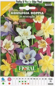 AQUILEGIA DOPPIA IN MISCUGLIO - CESPUGLI ALTI E MAZZI-FLORAL - BUSTA SEMENTI - Imagen 1 de 1