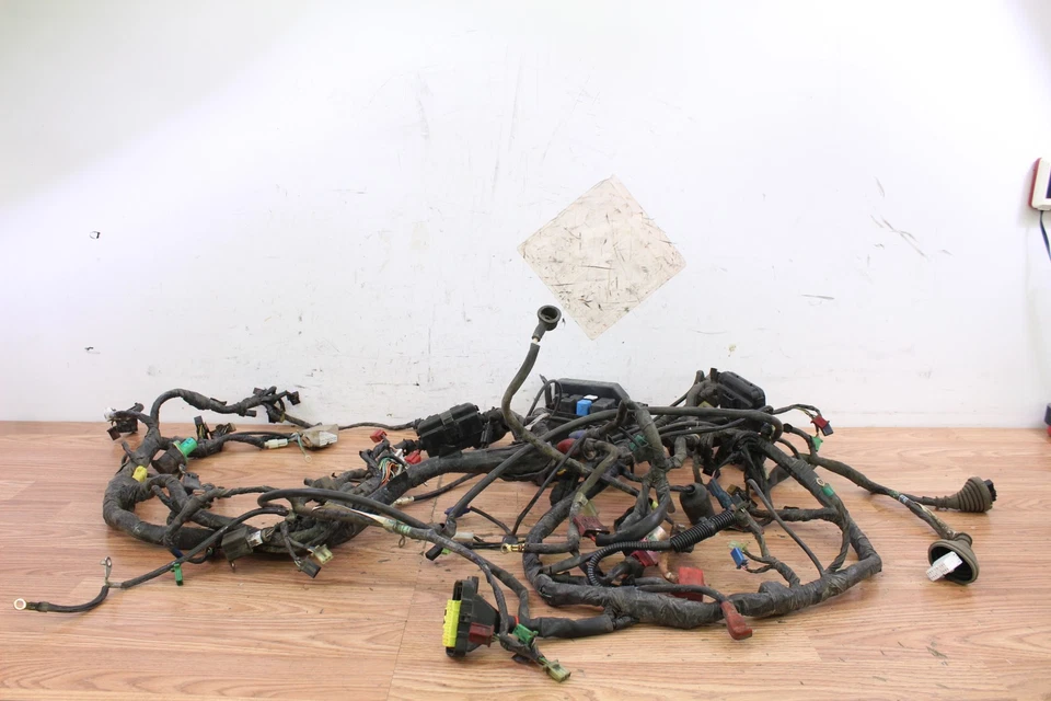 Honda Goldwing GL1500 SE 1998 chasis principal arnés de cables/cableado Foto 1 de 4