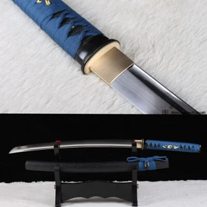 Hand Forged 9260 Spring Steel Japanese Wakizashi Samurai Sword Full Tang Sharp. - Picture 1 of 9