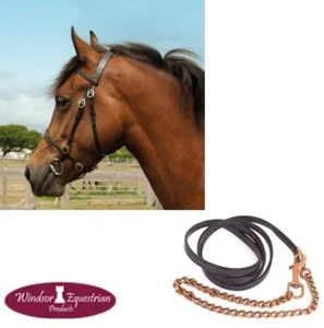 Windsor In-Hand Showing Trense und Leine SCHWARZ oder HAVANA Shetland/Pony/Warmblut/Voll - Bild 1 von 9