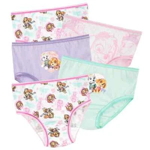 new 5prs girls Paw patrol character knickers/briefs/pants.18-24mths upto 6-7yrs - Picture 1 of 1