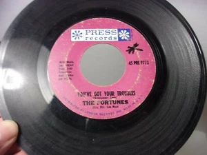 The Fortunes 45 Vinyl Record I've Gotta Go You've got your troubles - Picture 1 of 2