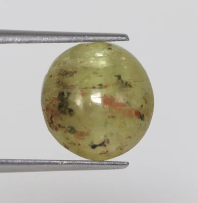 6.98 Ct Certified Loose Natural Green Cat’s Eye Chrysoberyl Sri Lanka Gemstone - Image 1 of 4