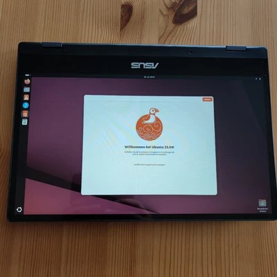 Asus Flipbook, Stift, Intel i7 4,9 GHz, 40GB  DDR4 RAM, 1TB SSD, 14 Zoll Display - Bild 1 von 4