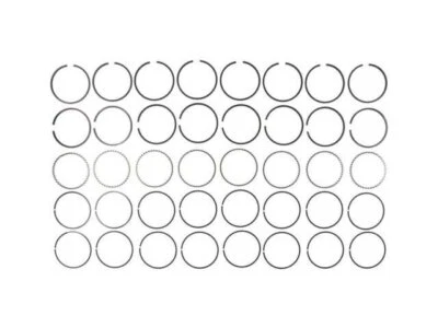 For 1982 Chrysler New Yorker Piston Ring Hastings 98214PGJB 3.7L 6 Cyl Foto 1 de 2