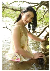 Japanese famous idol Honjo Suzu photo collection Shipped from Japan - Picture 1 of 5