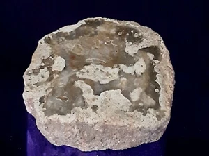 Fetta di LEGNO FOSSILE SILICIZZATO LS10 Grezzo e lucidato Minerali CHAKRA Pietra - Imagen 1 de 2