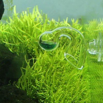 Прочная стеклянная шашка для посадки - Изображение 1 из 4