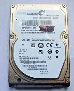 Disco duro SATA para computadora portátil Seagate 9HH132-022 250 GB - Imagen 1 de 1
