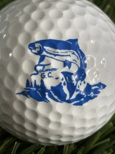 Salmon Valley Golf Course Logo Golf Ball- Salmon Idaho ID - Picture 1 of 1