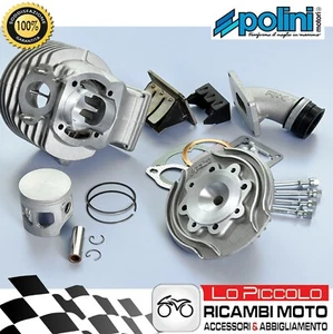 KIT GRUPPO TERMICO RACING LAMELLARE EVOLUTION POLINI D.60 160cc VESPA PK XL S - Foto 1 di 1