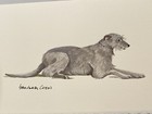 Scottish Deerhound Original  Watercolor by Sandra Coen Lying Down