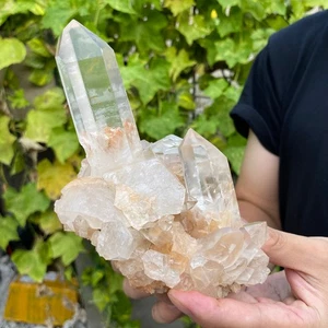 1,6 Pfund natürlicher klarer weißer Quarzkristall Cluster grobe Heilungsprobe - Bild 1 von 11