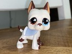 Lps 577 Littlest Petshop Original Authentique Chien Argentin Dog Hasbro Dane