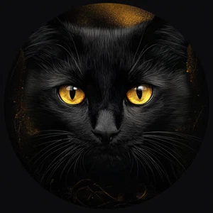 18X18 Autoaufkleber Schwarze Katze Aufkleber Transparent - Picture 1 of 1